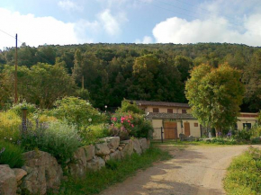 L'Amabile Geko Rio Marina